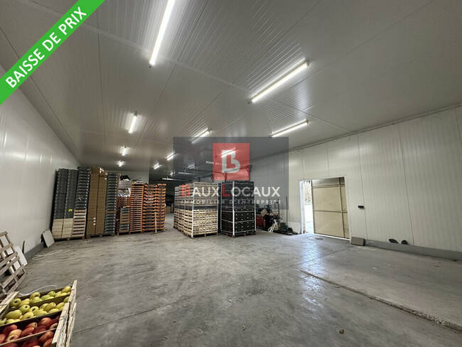 REXIM - Local d'activités - Bouches-du-Rhône - Noves - 1