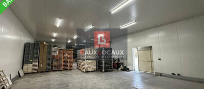 REXIM - Local d'activités - Bouches-du-Rhône - Noves - 1