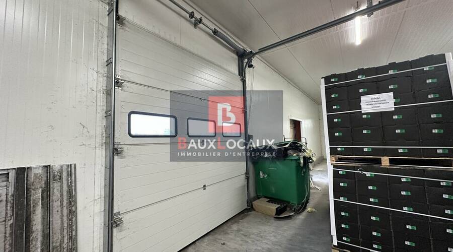 REXIM - Local d'activités - Bouches-du-Rhône - Noves - 2