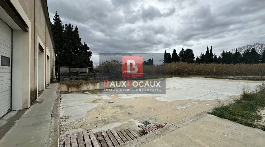 REXIM - Local d'activités - Bouches-du-Rhône - Noves - 3