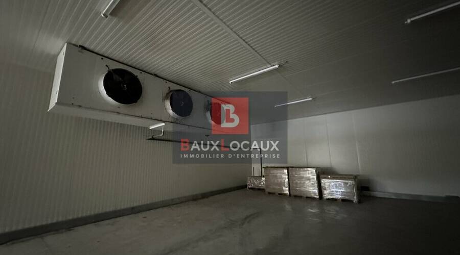 REXIM - Local d'activités - Bouches-du-Rhône - Noves - 4