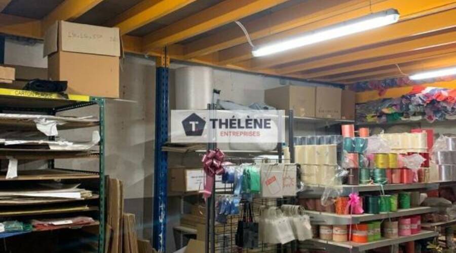 REXIM - Local d'activités - Hérault - Mauguio - 3