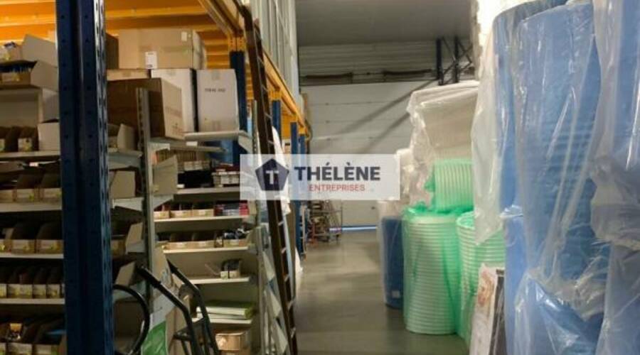 REXIM - Local d'activités - Hérault - Mauguio - 5