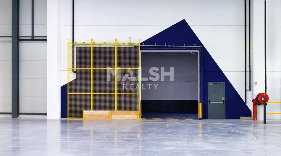 REXIM - Local d'activités - Rhône - Colombier-Saugnieu - 6