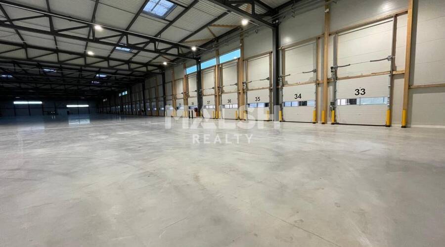 REXIM - Local d'activités - Rhône - Colombier-Saugnieu - 4