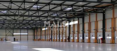 REXIM - Local d'activités - Rhône - Colombier-Saugnieu - 5