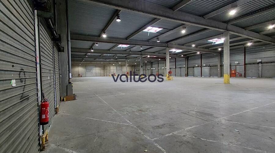 REXIM - Local d'activités - Haute-Garonne - Toulouse - 4