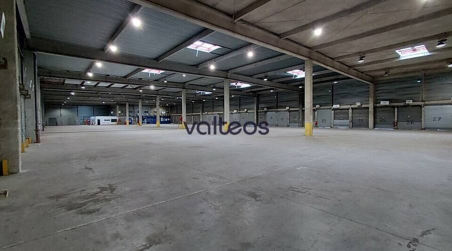 REXIM - Local d'activités - Haute-Garonne - Toulouse - 5