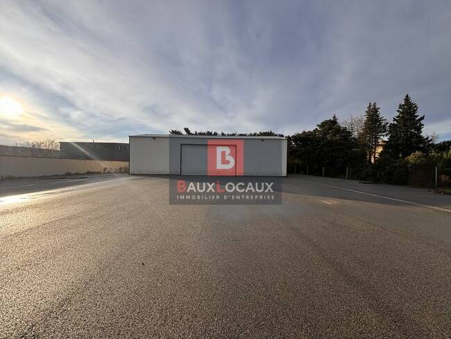 REXIM - Local d'activités - Bouches-du-Rhône - Châteaurenard - 1