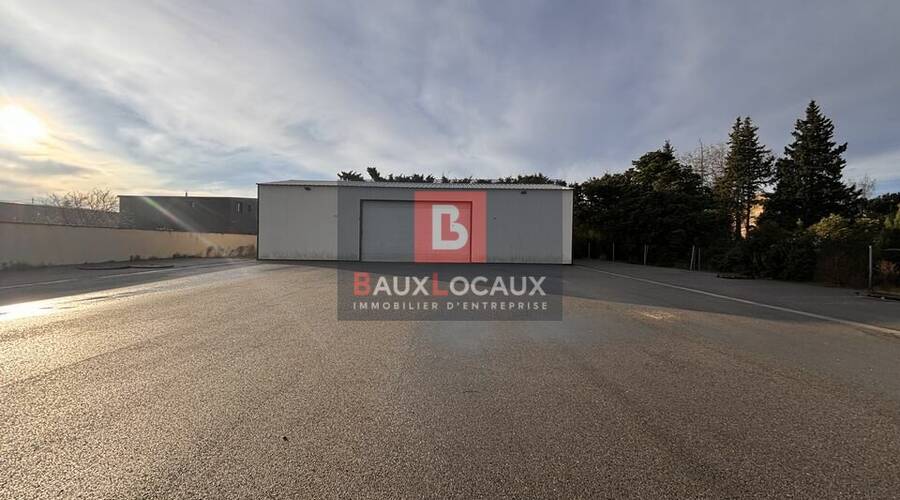 REXIM - Local d'activités - Bouches-du-Rhône - Châteaurenard - 1