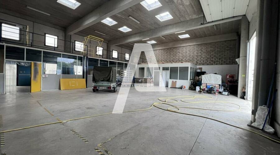 REXIM - Local d'activités - Vitry-sur-Seine - 5