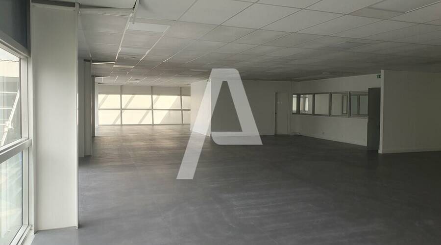 REXIM - Entrepôt - Champigny-sur-Marne - 3