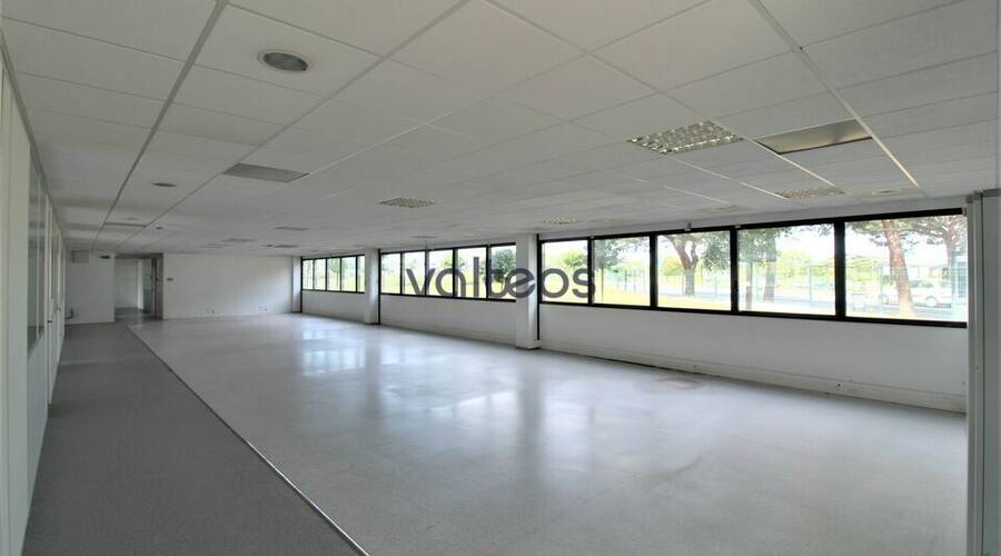 REXIM - Bureau - Haute-Garonne - Toulouse - 7