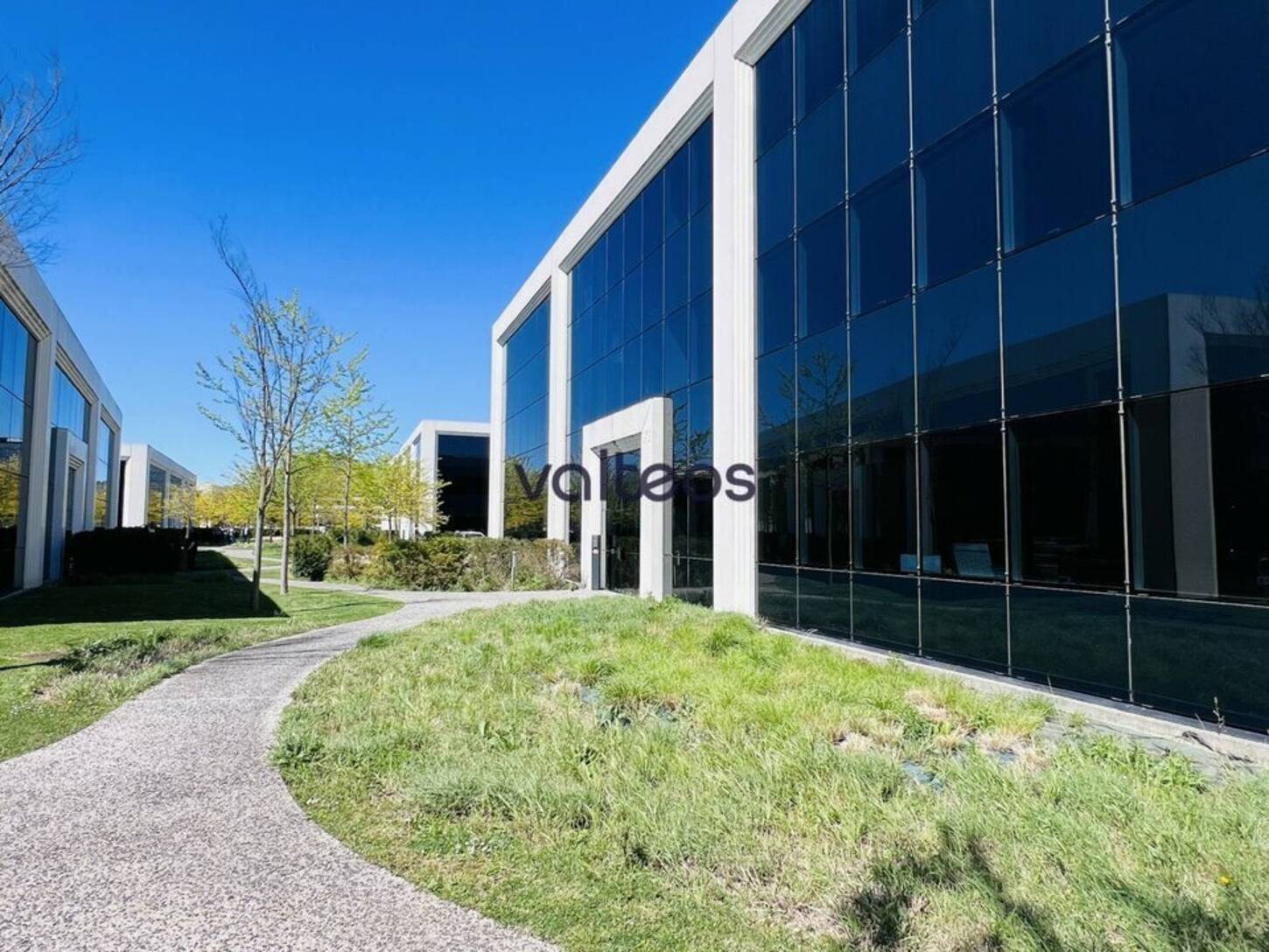 REXIM - Bureau - Haute-Garonne - Labège - 2