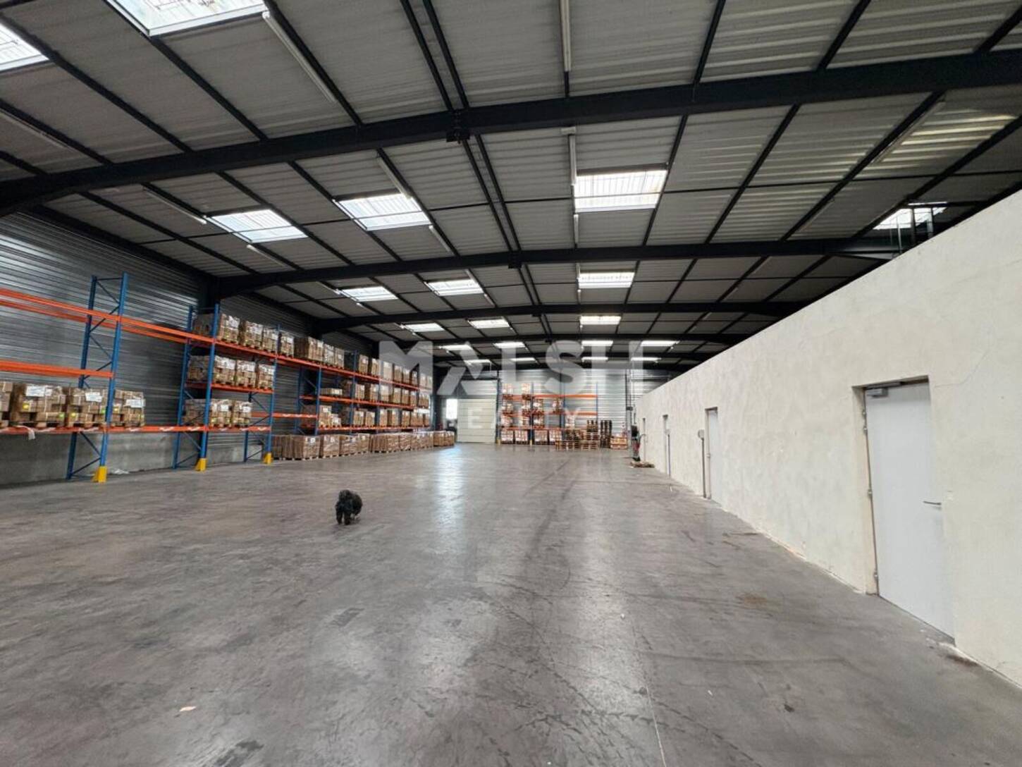 REXIM - Local d'activités - Rhône - Savigny - 2