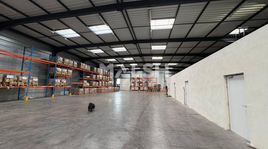 REXIM - Local d'activités - Rhône - Savigny - 2