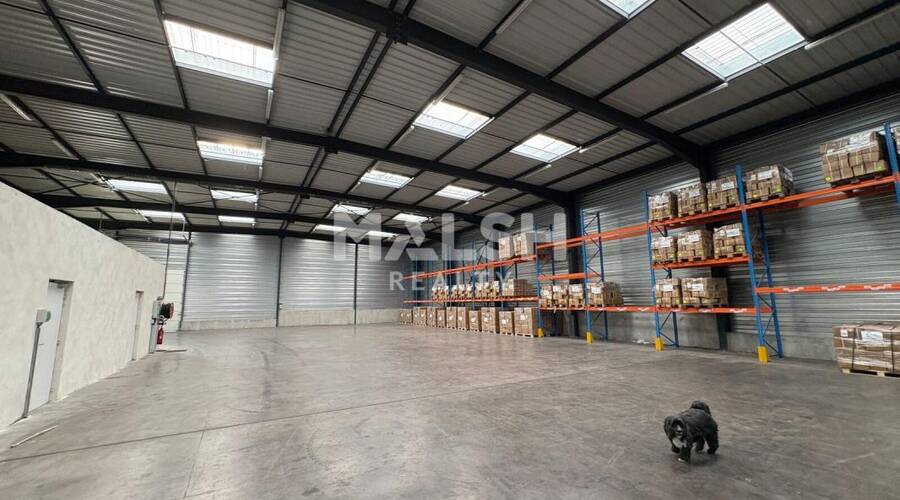 REXIM - Local d'activités - Rhône - Savigny - 4