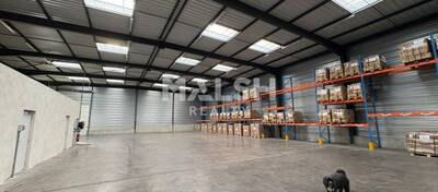 REXIM - Local d'activités - Rhône - Savigny - 4