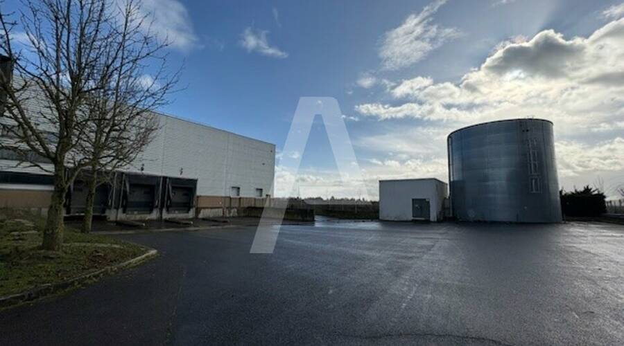 REXIM - Entrepôt - Saint-Michel-sur-Orge - 8