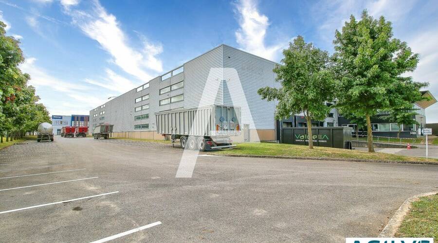 REXIM - Entrepôt - Saint-Michel-sur-Orge - 10