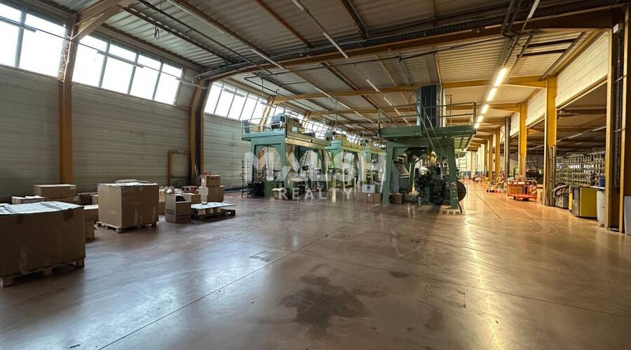 REXIM - Local d'activités - Ain - Saint-André-de-Corcy - 1