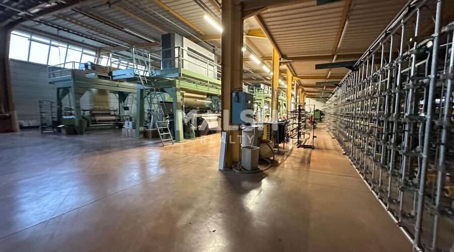 REXIM - Local d'activités - Ain - Saint-André-de-Corcy - 3