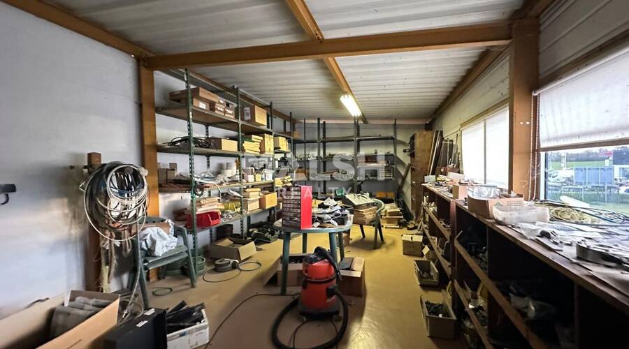 REXIM - Local d'activités - Ain - Saint-André-de-Corcy - 5