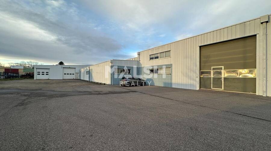 REXIM - Local d'activités - Ain - Saint-André-de-Corcy - 9