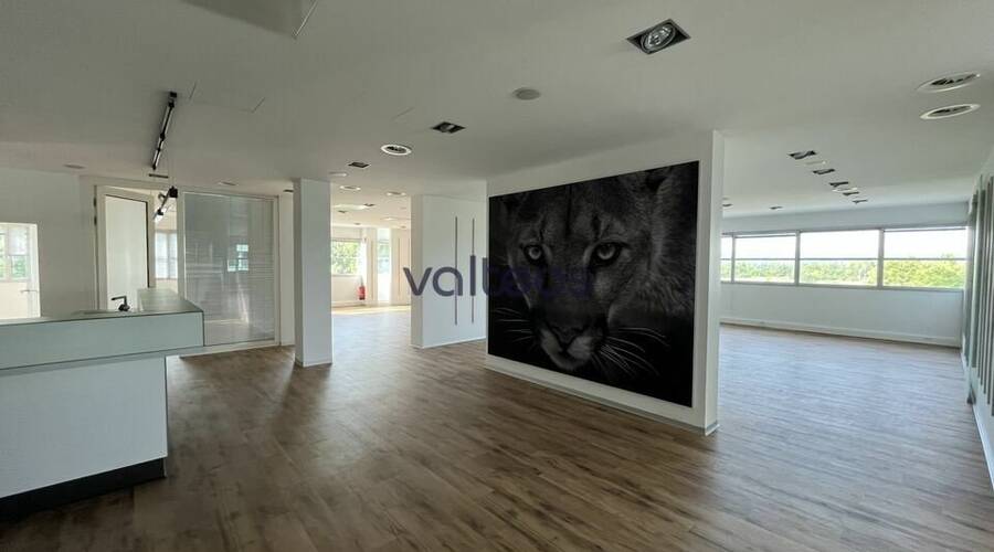 REXIM - Bureau - Haute-Garonne - Labège - 2