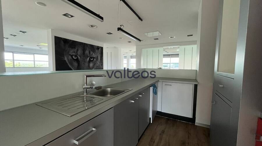 REXIM - Bureau - Haute-Garonne - Labège - 3