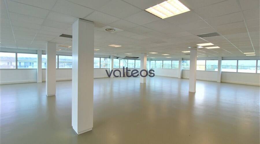 REXIM - Bureau - Haute-Garonne - Labège - 6