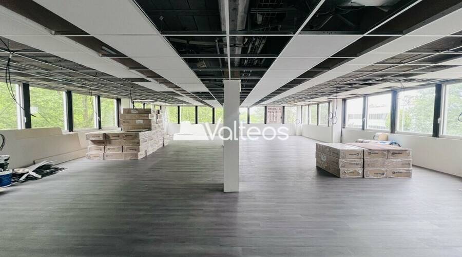 REXIM - Bureau - Haute-Garonne - Labège - 5