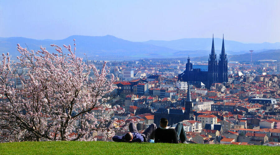 REXIM - Bureau - Puy-de-Dôme - Clermont-Ferrand - 7
