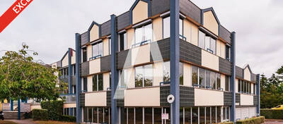 REXIM - Entrepôt - Massy - 6