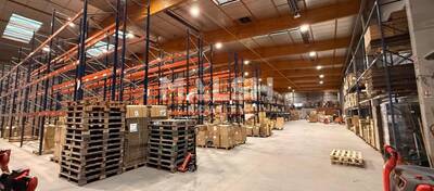 REXIM - Local d'activités - Ain - Saint-André-de-Corcy - 4