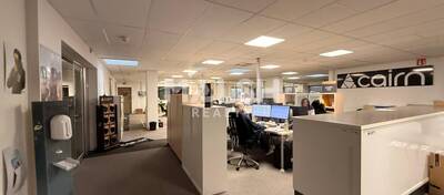 REXIM - Local d'activités - Ain - Saint-André-de-Corcy - 10