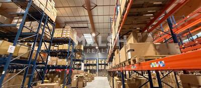 REXIM - Local d'activités - Ain - Saint-André-de-Corcy - 3