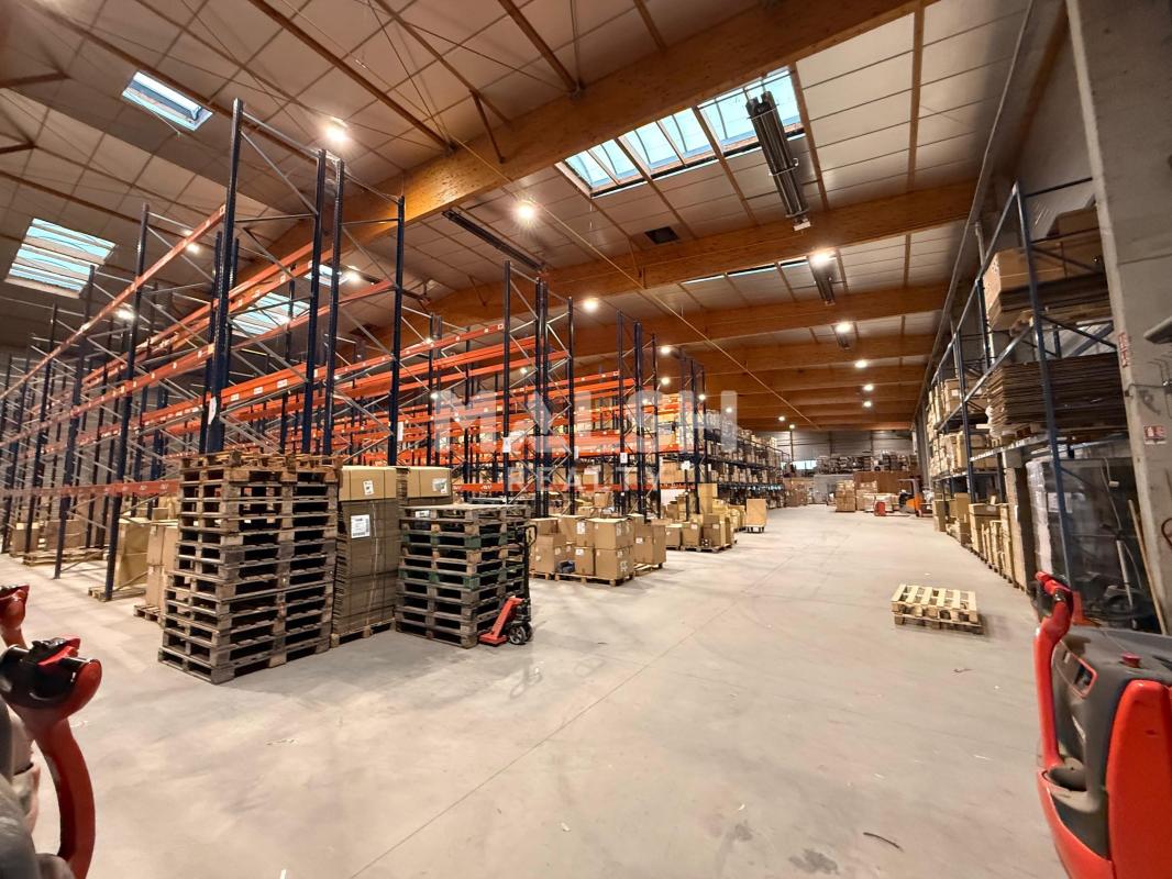 REXIM - Local d'activités - Ain - Saint-André-de-Corcy - 4