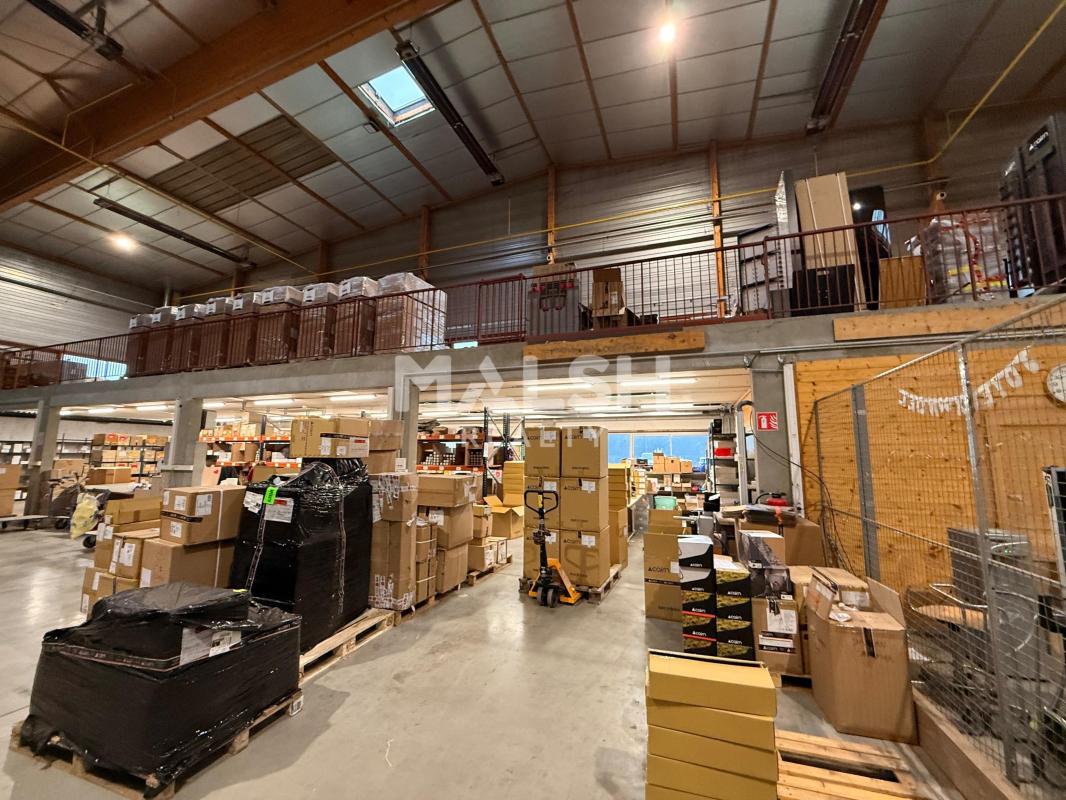 REXIM - Local d'activités - Ain - Saint-André-de-Corcy - 6