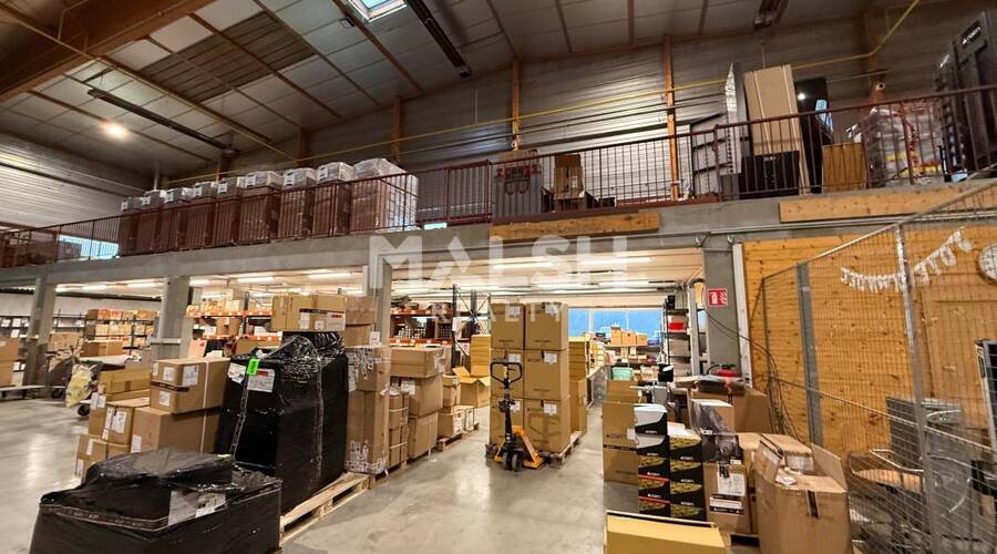 REXIM - Local d'activités - Ain - Saint-André-de-Corcy - 6