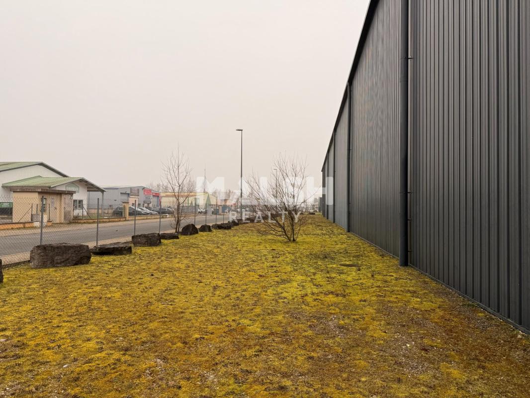 REXIM - Local d'activités - Ain - Saint-André-de-Corcy - 13