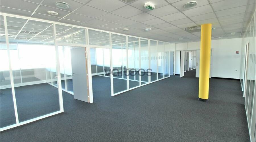 REXIM - Bureau - Haute-Garonne - Toulouse - 9