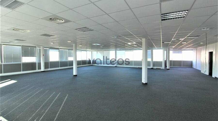 REXIM - Bureau - Haute-Garonne - Toulouse - 10