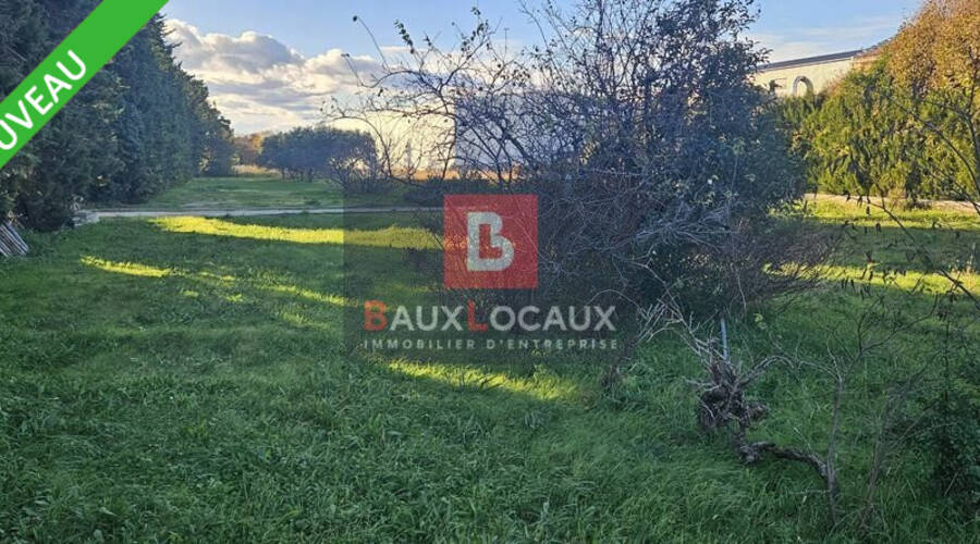 REXIM - Terrain - Vaucluse - Carpentras - 1