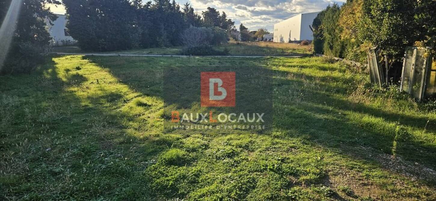 REXIM - Terrain - Vaucluse - Carpentras - 2