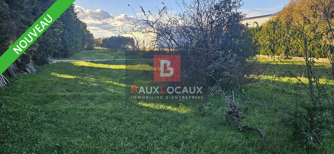 REXIM - Terrain - Vaucluse - Carpentras - 1