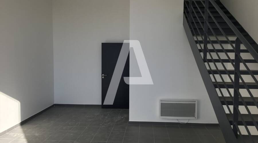 REXIM - Entrepôt - Saint-Pierre-du-Perray - 6