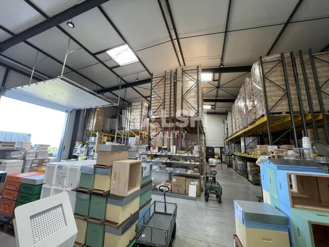 REXIM - Local d'activités - Rhône - Chasselay - 1