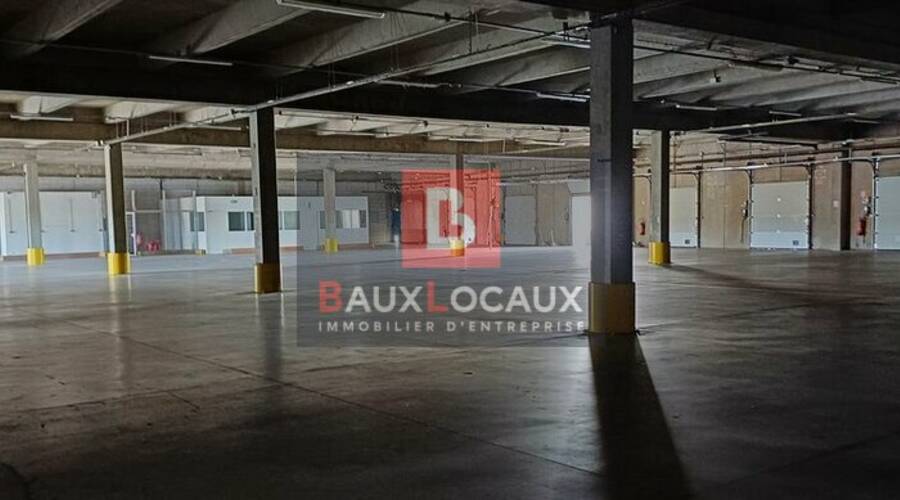 REXIM - Entrepôt - Gard - Roquemaure - 3