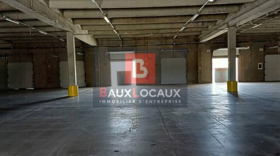 REXIM - Entrepôt - Gard - Roquemaure - 5